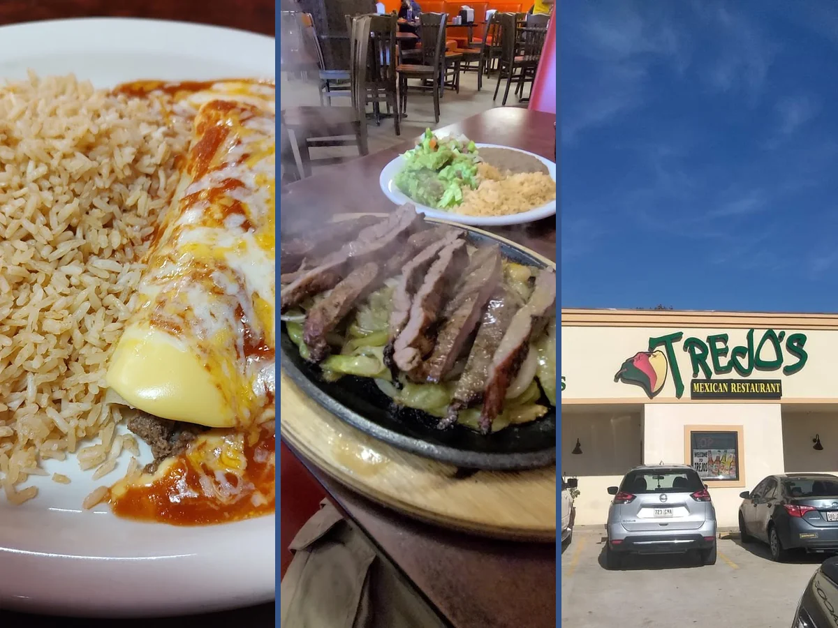 Tacos and enchiladas served with fresh sides.
